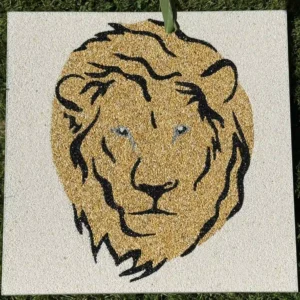 IMG_5234 webp webp lion moquette de pierre marbre